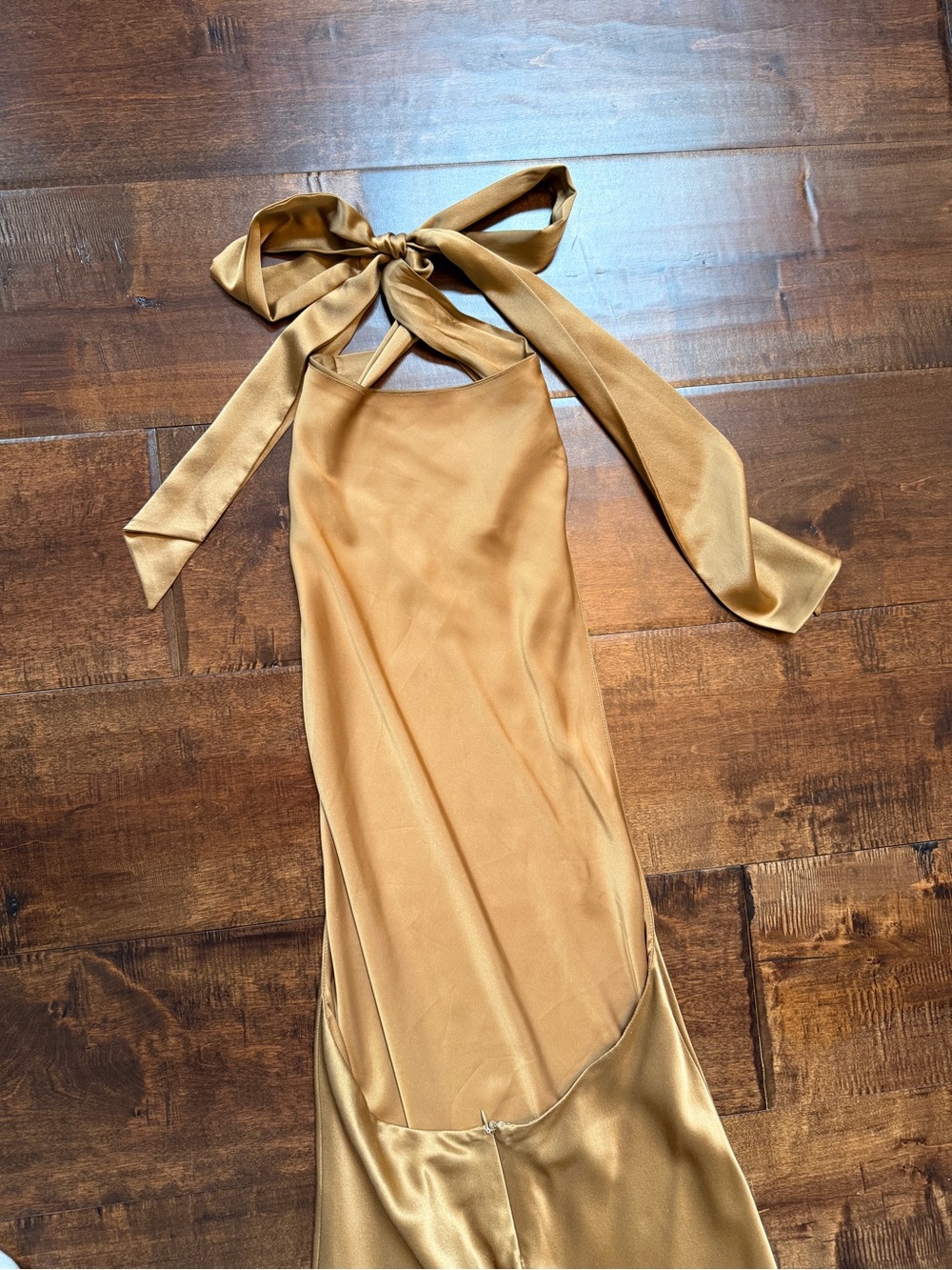 AEXAE Silk Backless Maxi Dress in Light Brown - Picture 5 of 12